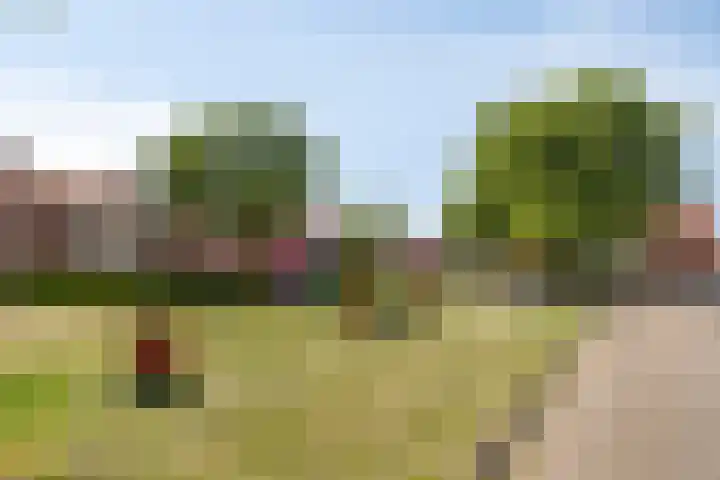 Parklaan 3 Prinsenbeek thumbnail 22