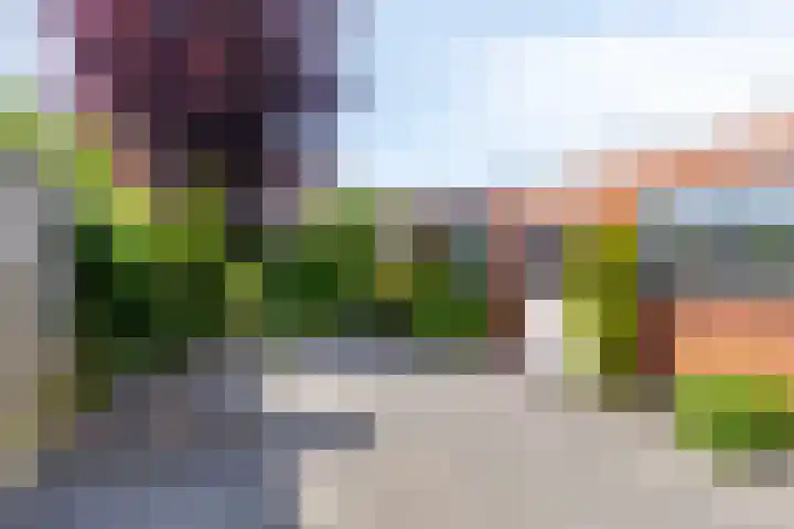 Parklaan 3 Prinsenbeek thumbnail 4