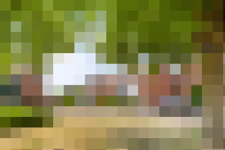 Parklaan 3 Prinsenbeek thumbnail 5