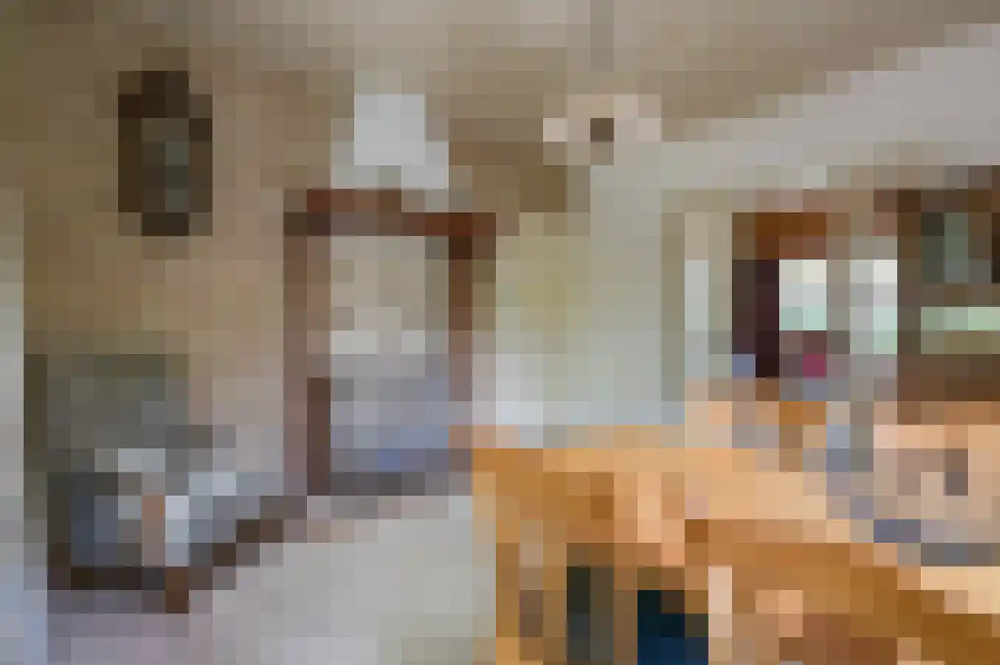 Parklaan 3 Putten thumbnail 12