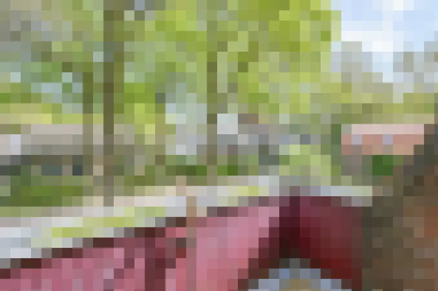 Parklaan 3 Putten thumbnail 30