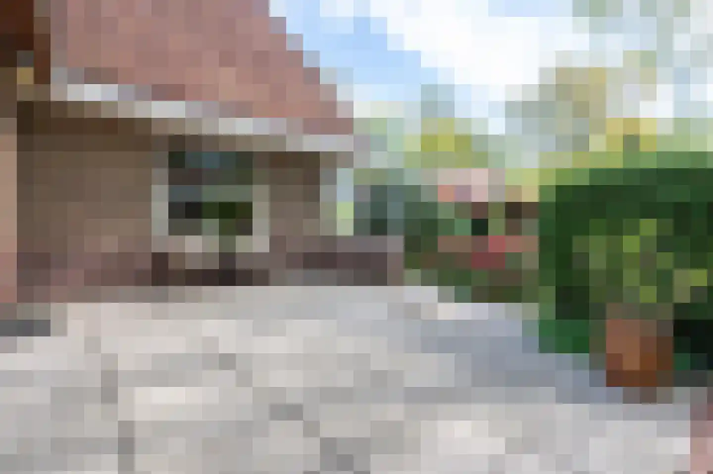 Parklaan 3 Putten thumbnail 40