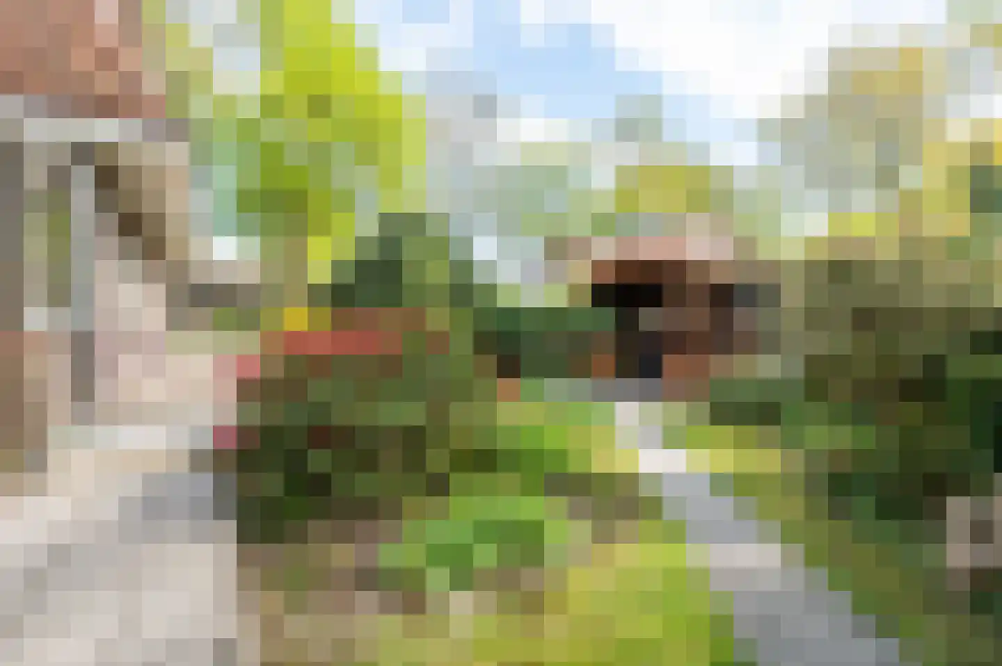 Parklaan 3 Putten thumbnail 43