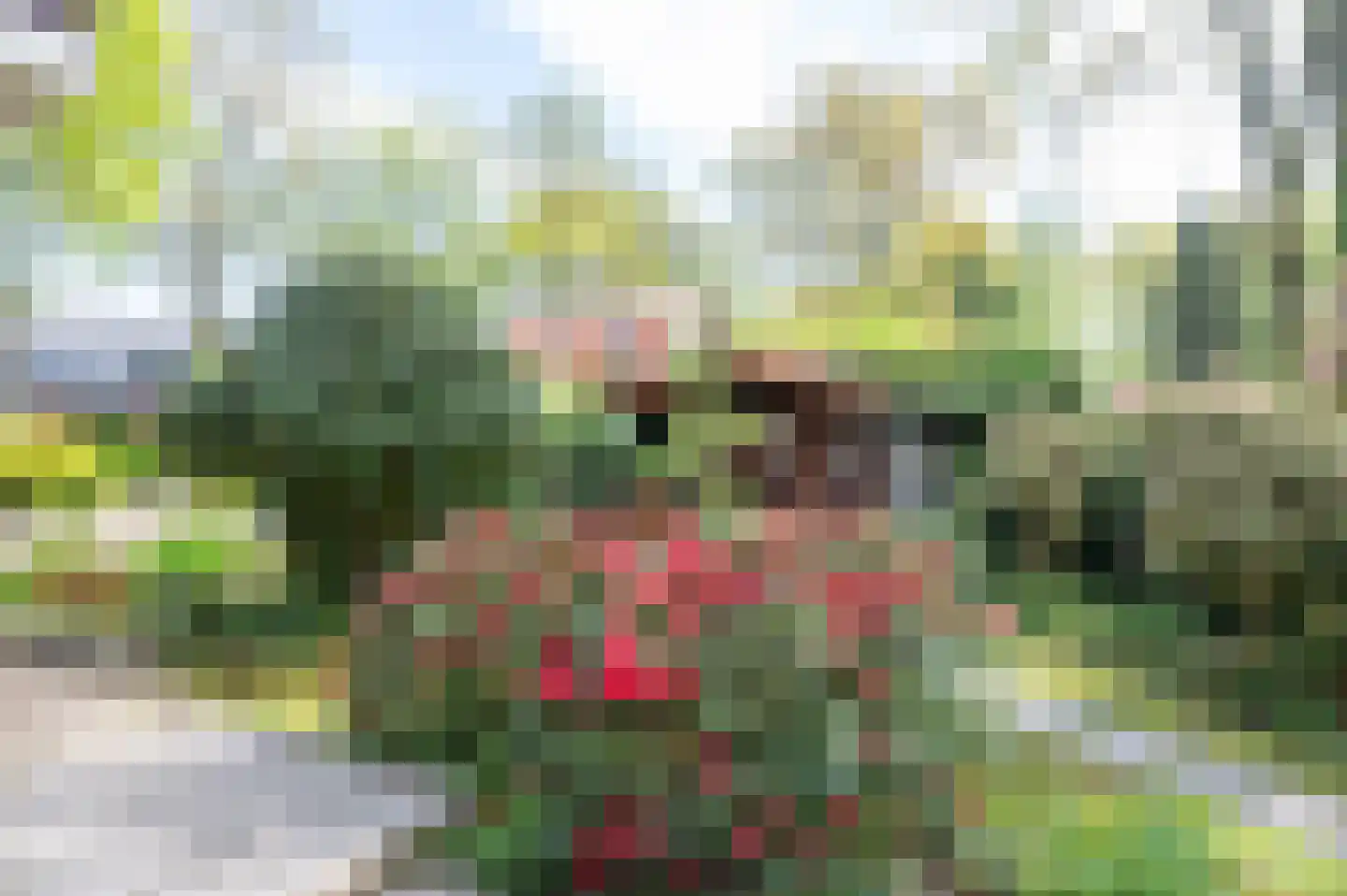 Parklaan 3 Putten thumbnail 45