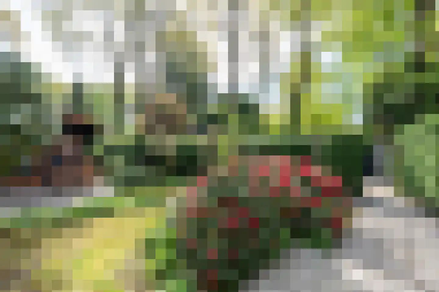 Parklaan 3 Putten thumbnail 46