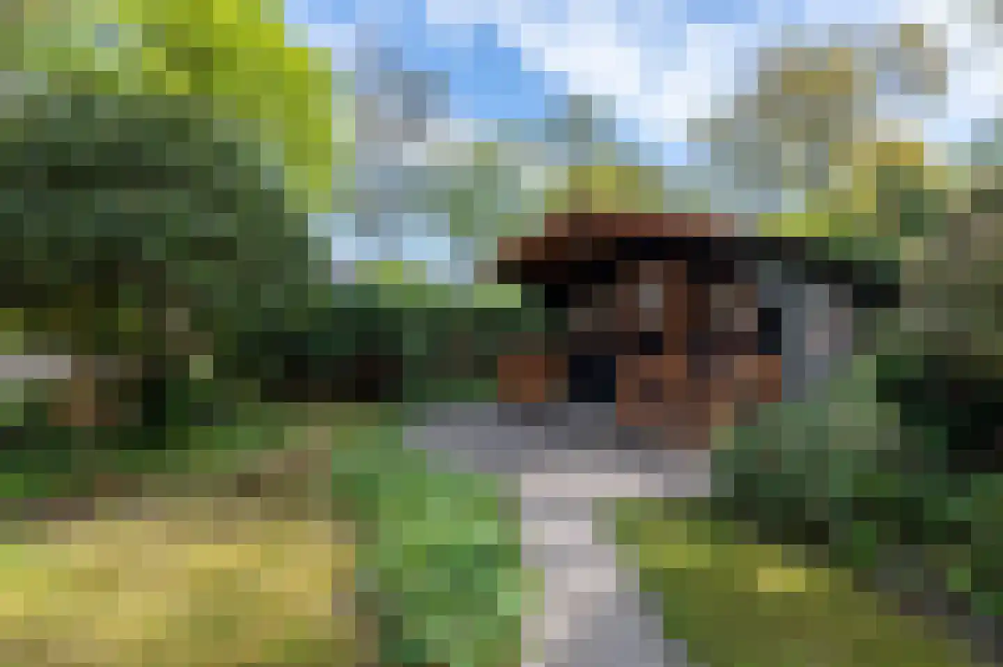 Parklaan 3 Putten thumbnail 48