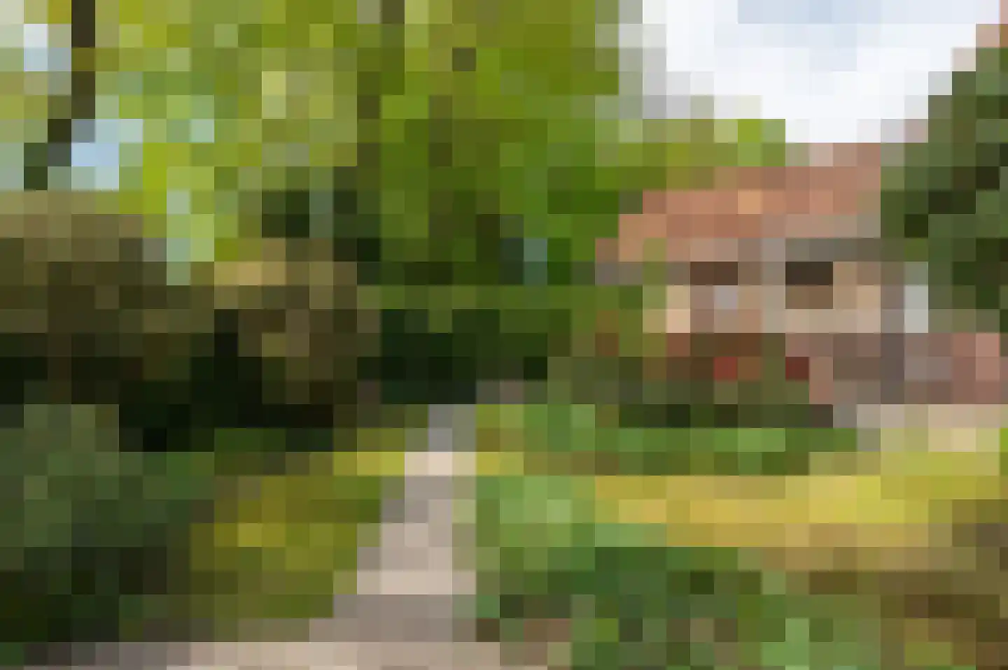 Parklaan 3 Putten thumbnail 49