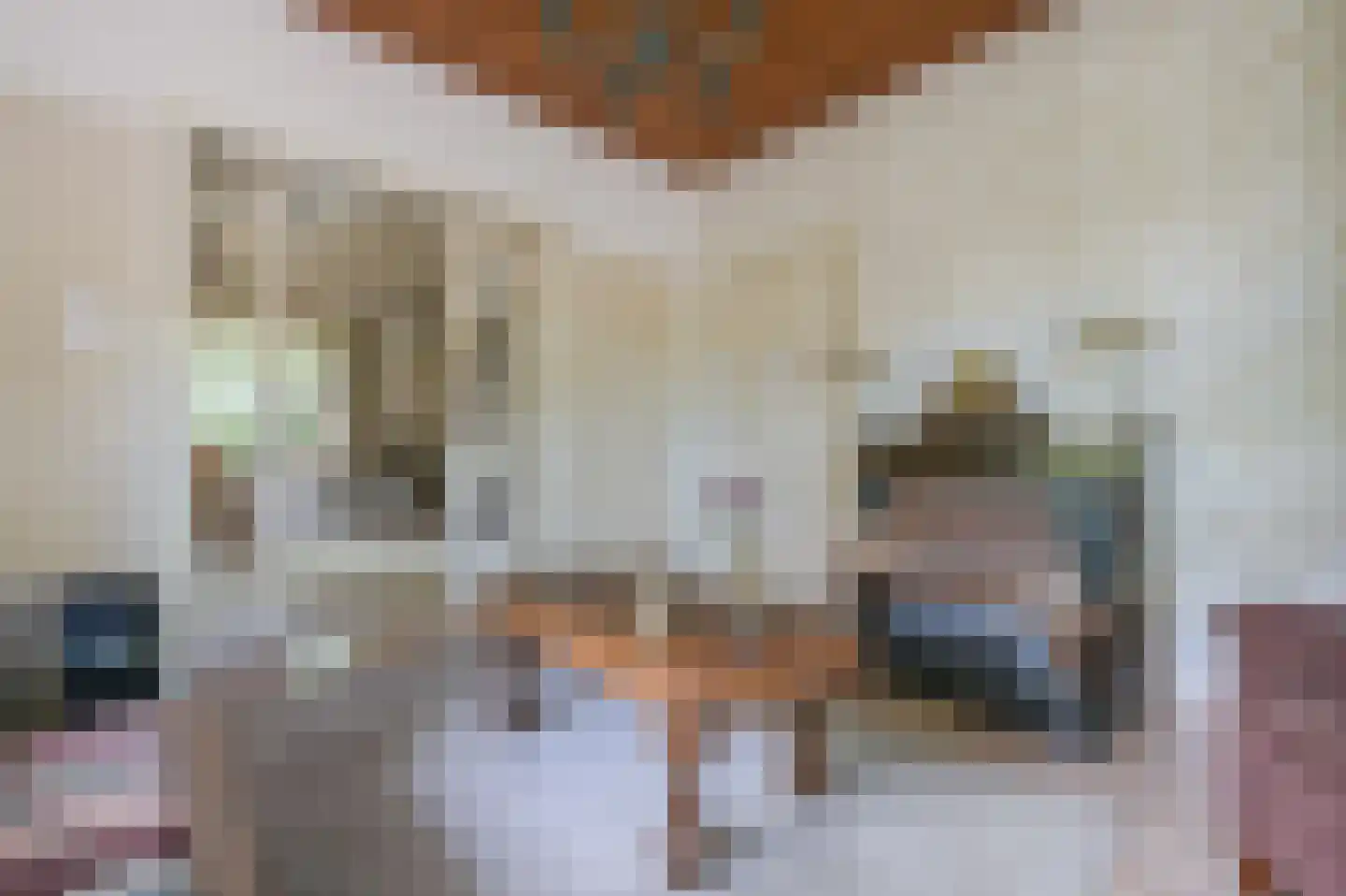 Parklaan 3 Putten thumbnail 9