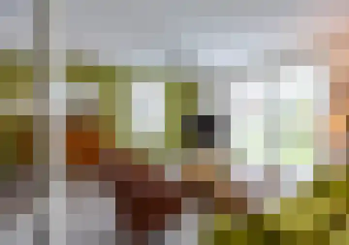 Parklaan 3 Venray thumbnail 11
