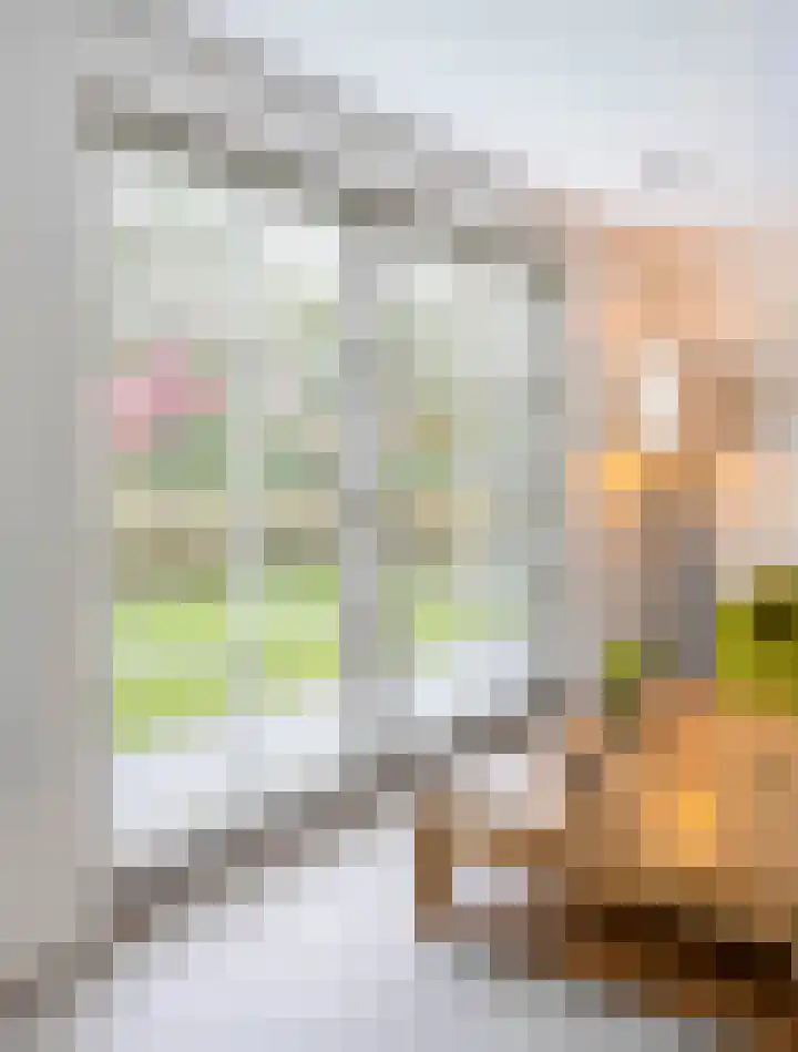 Parklaan 3 Venray thumbnail 16