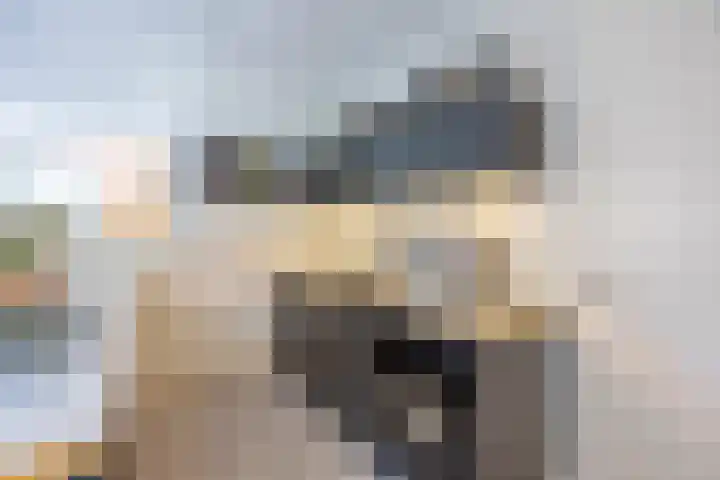 Parklaan 3 Venray thumbnail 20