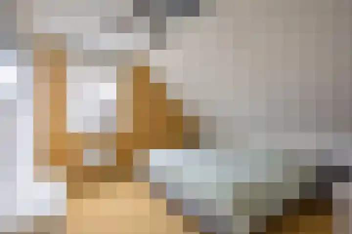 Parklaan 3 Venray thumbnail 28