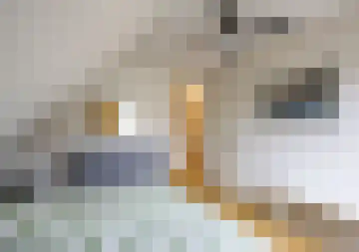 Parklaan 3 Venray thumbnail 29