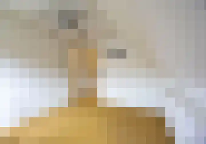 Parklaan 3 Venray thumbnail 31