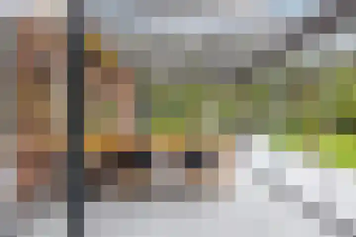 Parklaan 3 Venray thumbnail 34