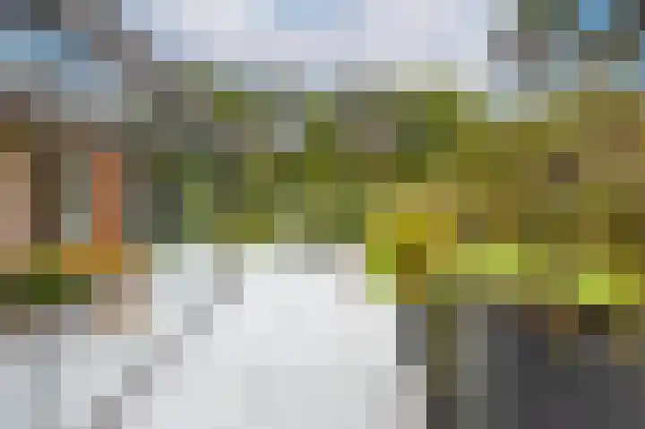 Parklaan 3 Venray thumbnail 39