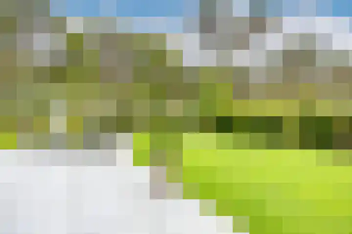 Parklaan 3 Venray thumbnail 41
