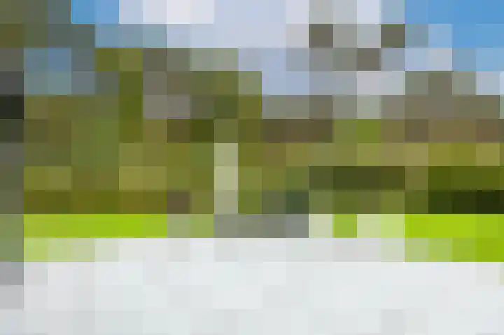 Parklaan 3 Venray thumbnail 42