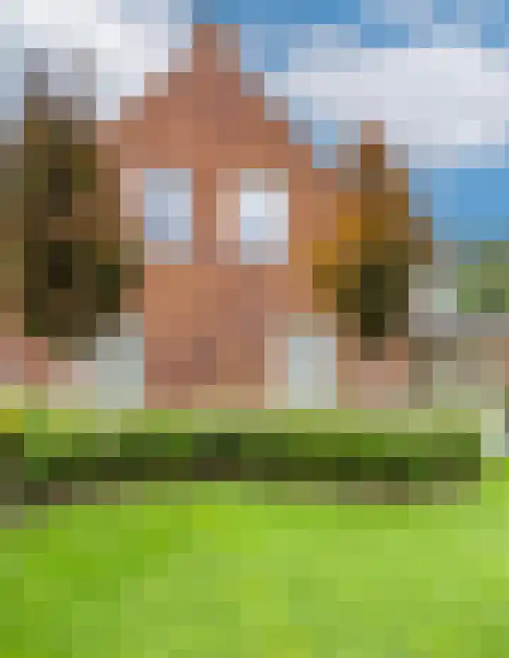 Parklaan 3 Venray thumbnail 45