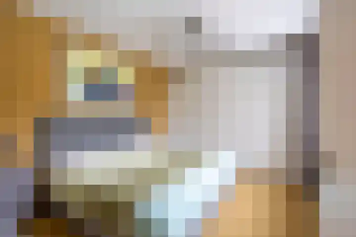 Parklaan 3 Venray thumbnail 5