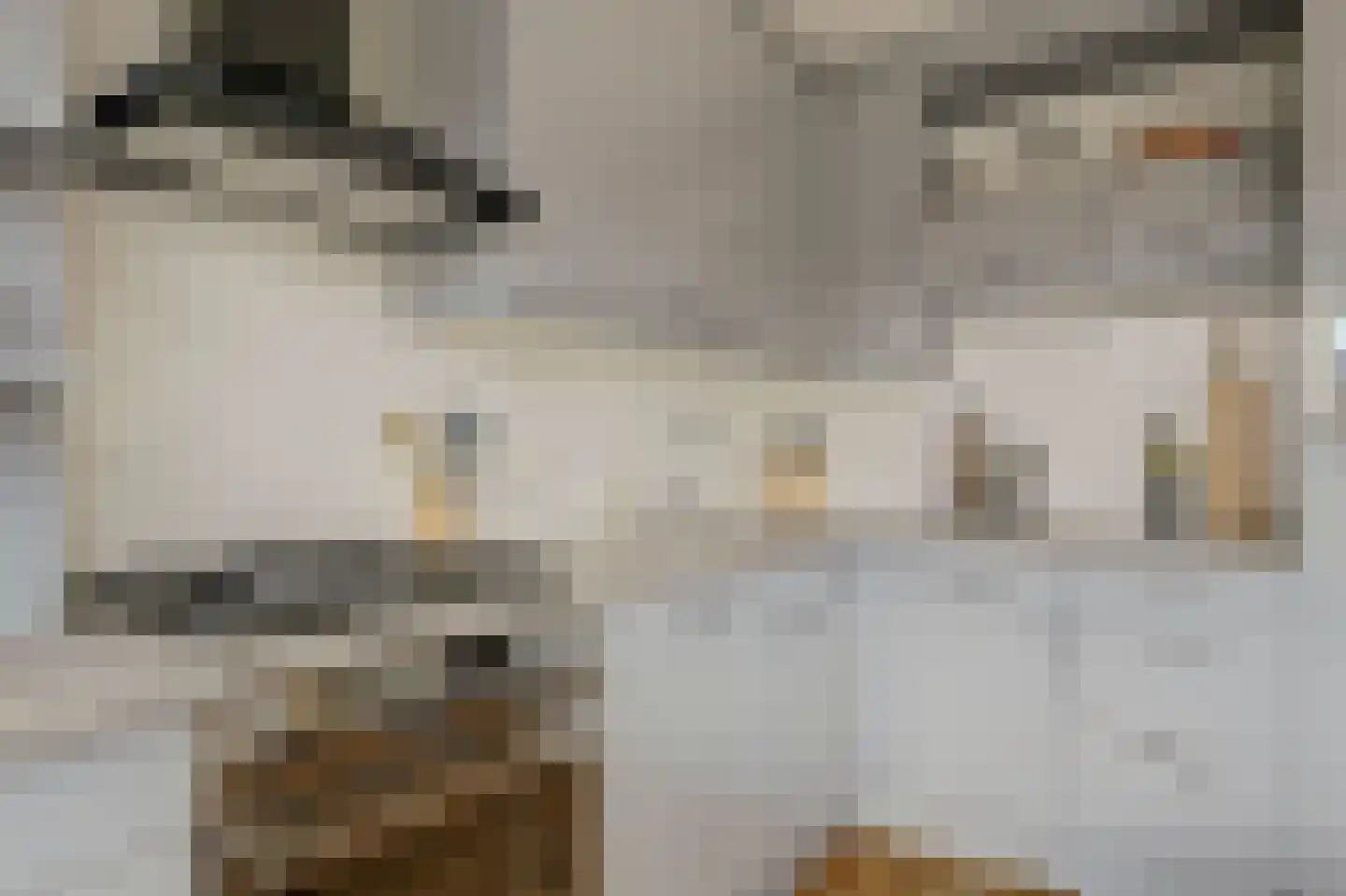 Parklaan 30 Abbekerk thumbnail 15