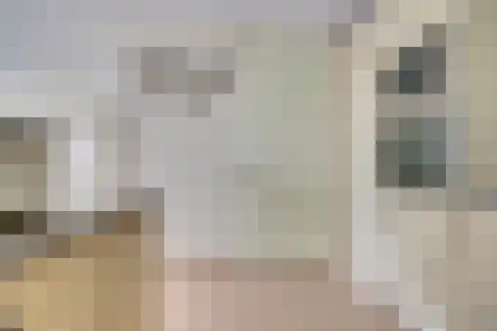 Parklaan 30 De Lier thumbnail 20