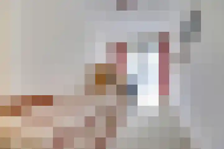 Parklaan 30 De Lier thumbnail 25