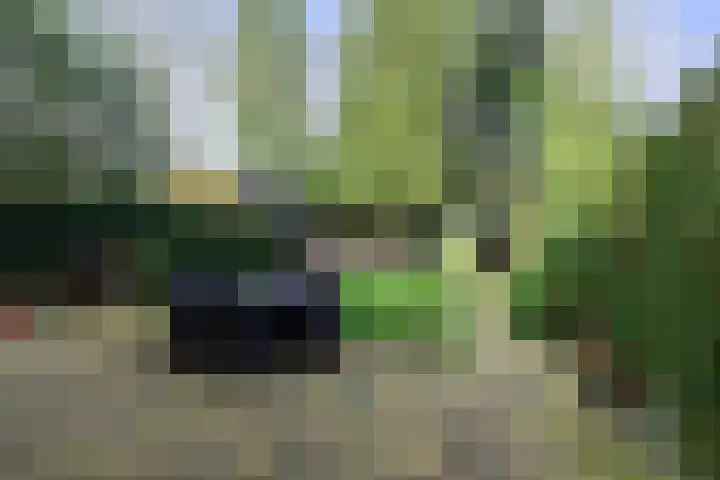 Parklaan 31 Bilthoven thumbnail 19