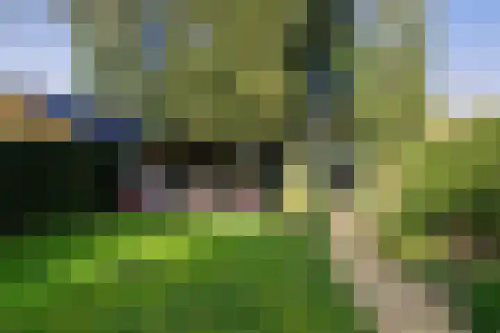 Parklaan 31 Bilthoven thumbnail 20
