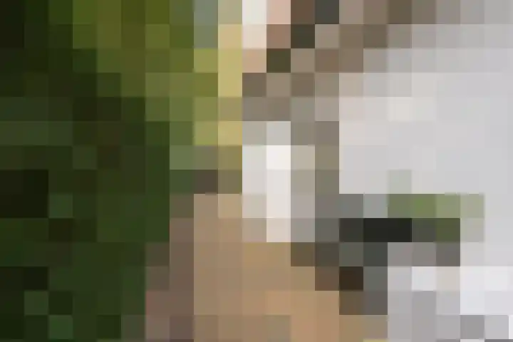 Parklaan 31 Bilthoven thumbnail 24
