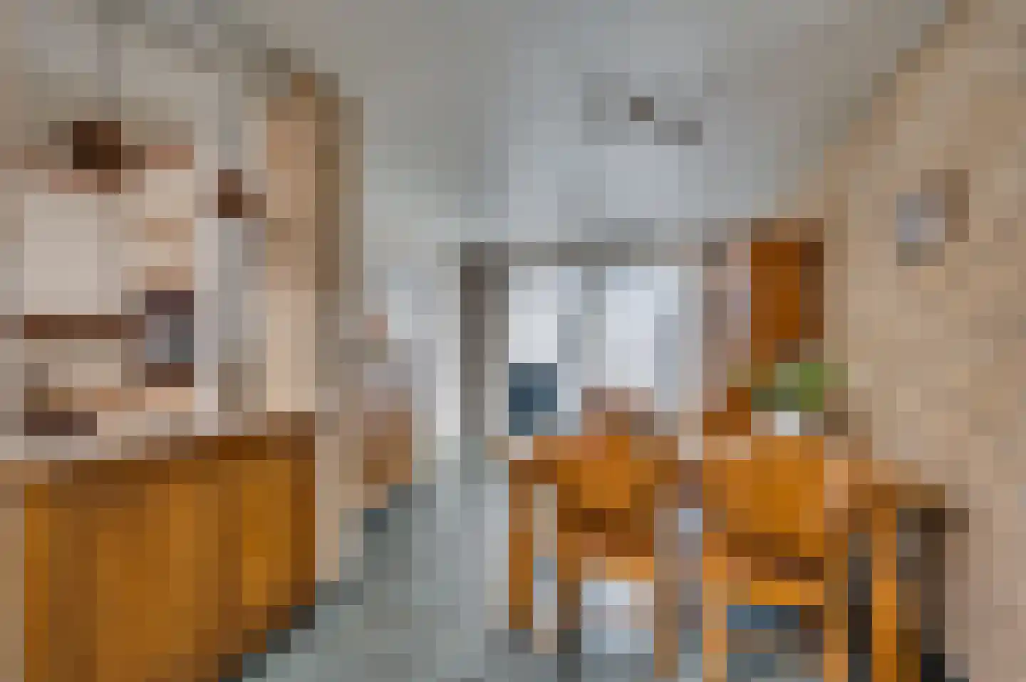 Parklaan 31 Reuver thumbnail 20