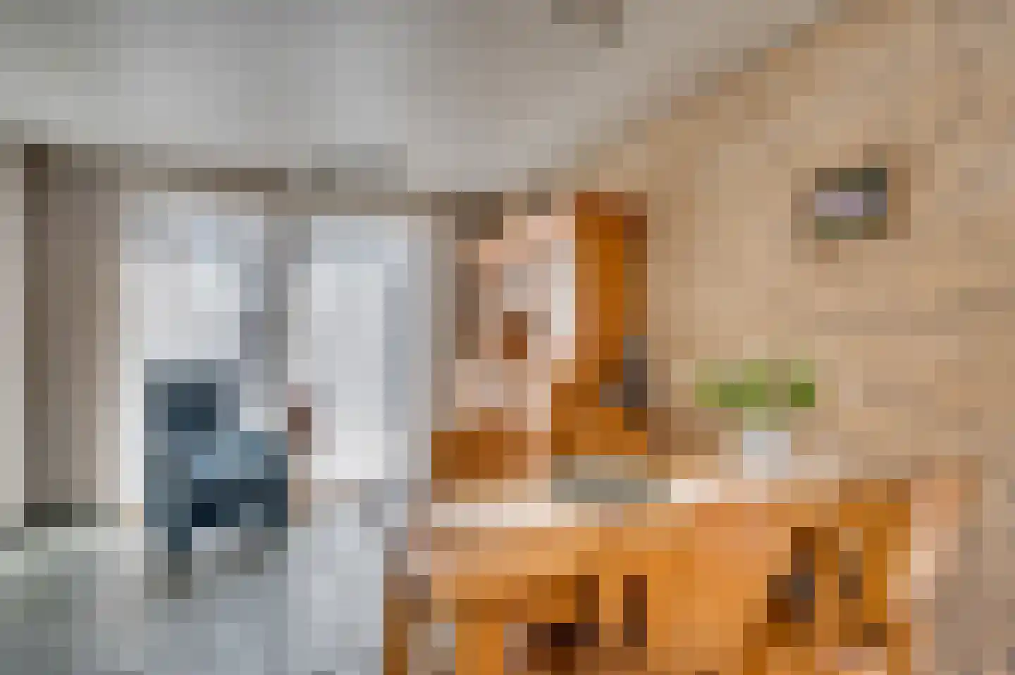 Parklaan 31 Reuver thumbnail 21
