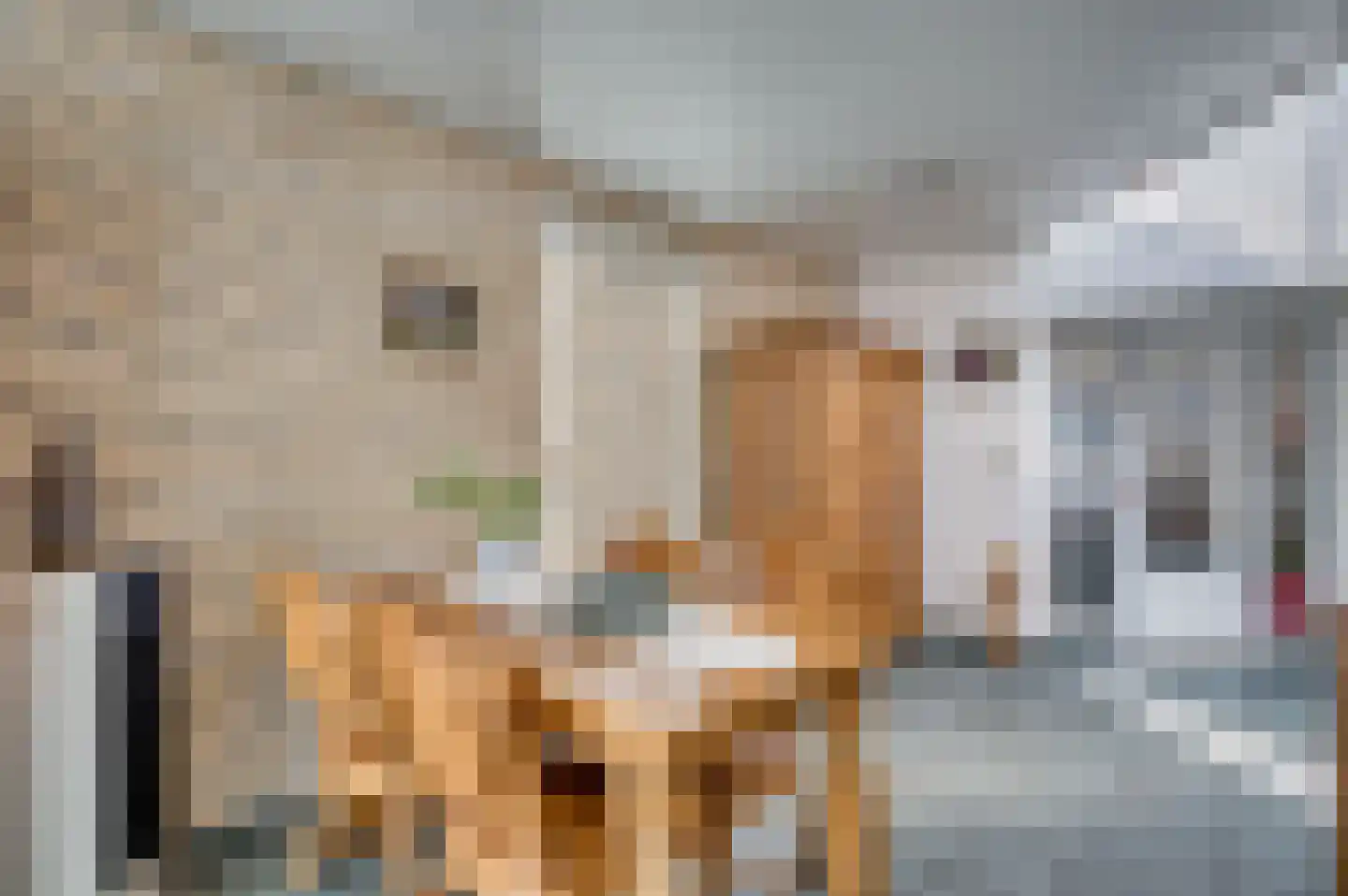 Parklaan 31 Reuver thumbnail 22