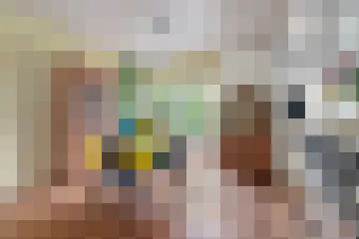 Parklaan 32 Kapelle thumbnail 10