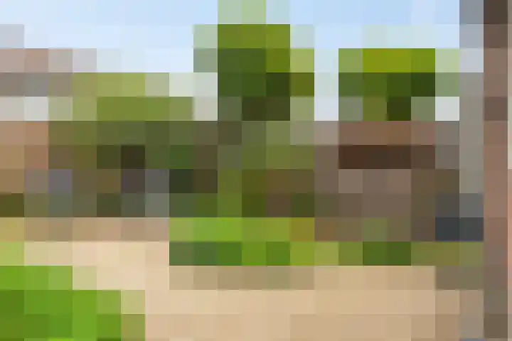 Parklaan 32 Kapelle thumbnail 29