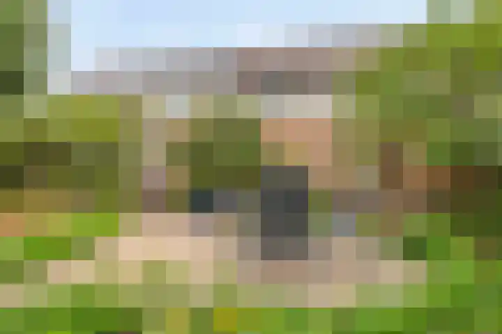 Parklaan 32 Kapelle thumbnail 31