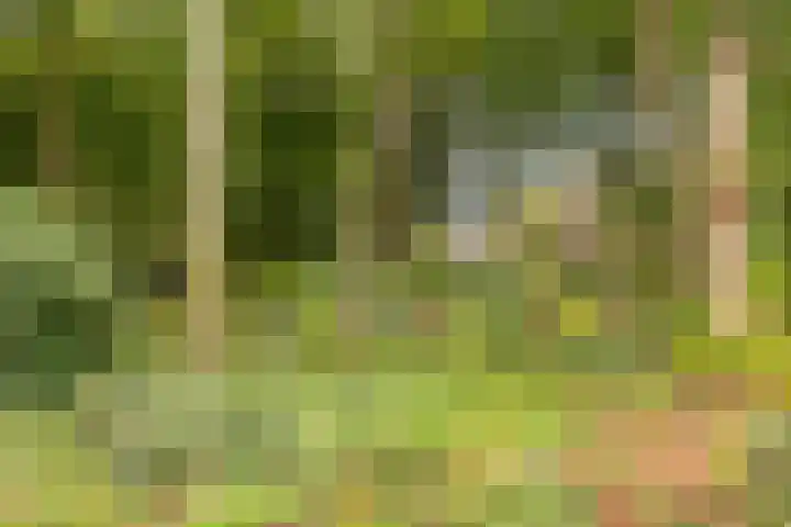 Parklaan 32 Kapelle thumbnail 35