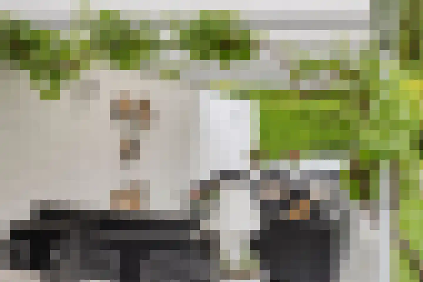 Parklaan 32 Sittard thumbnail 47