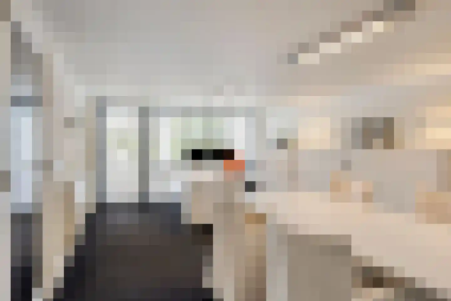 Parklaan 32 Sittard thumbnail 5