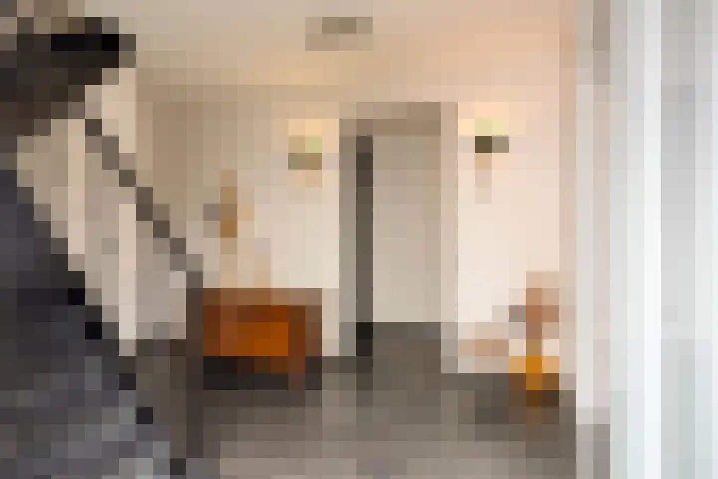 Parklaan 32 Sittard thumbnail 9