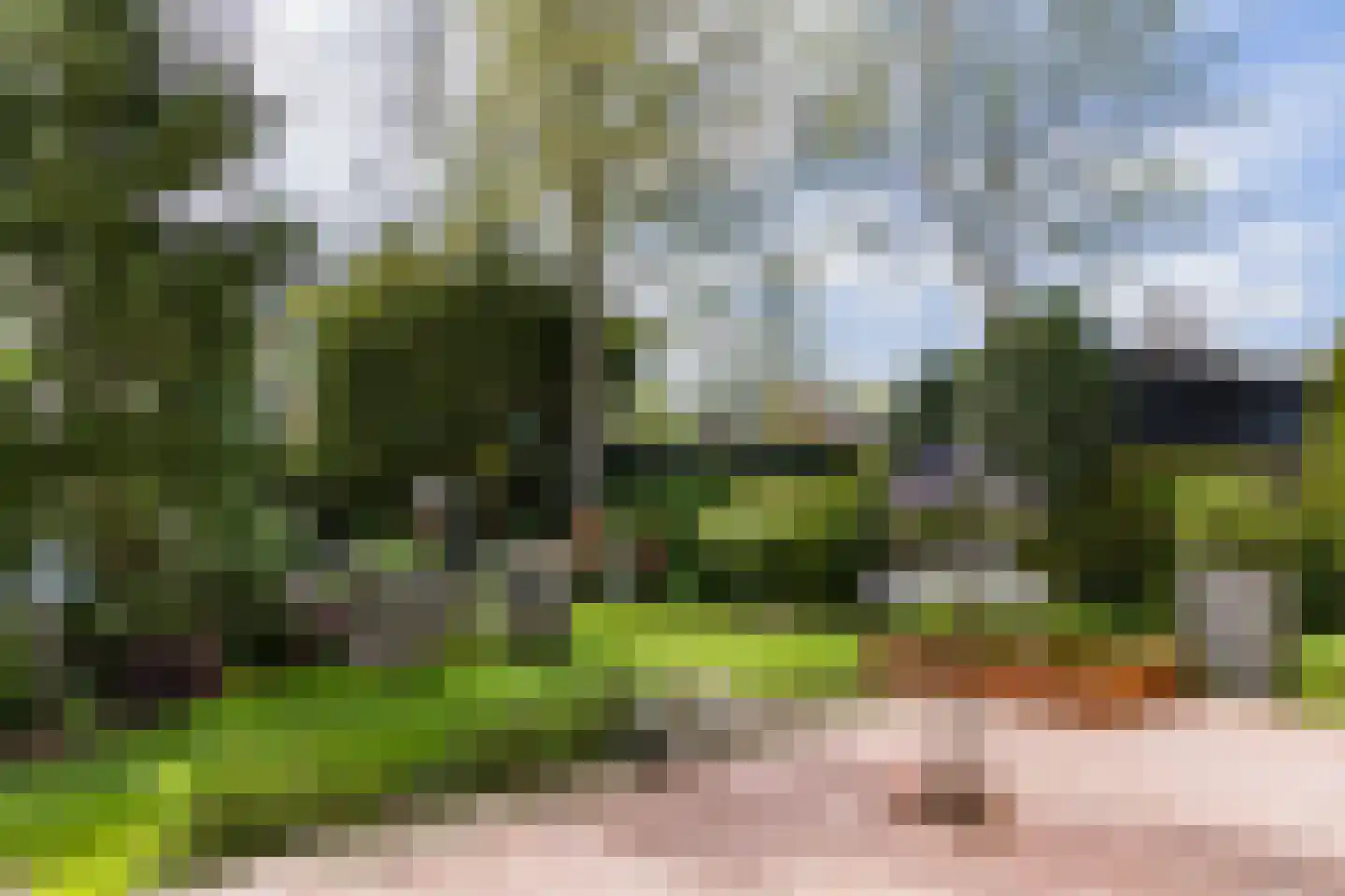 Parklaan 33 Hippolytushoef thumbnail 22