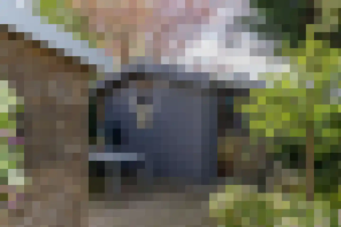 Parklaan 33 Hippolytushoef thumbnail 23