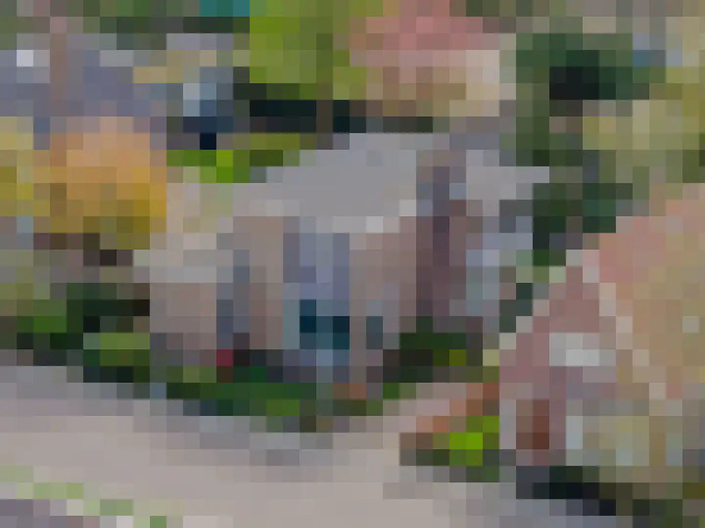 Parklaan 33 Hippolytushoef thumbnail 26
