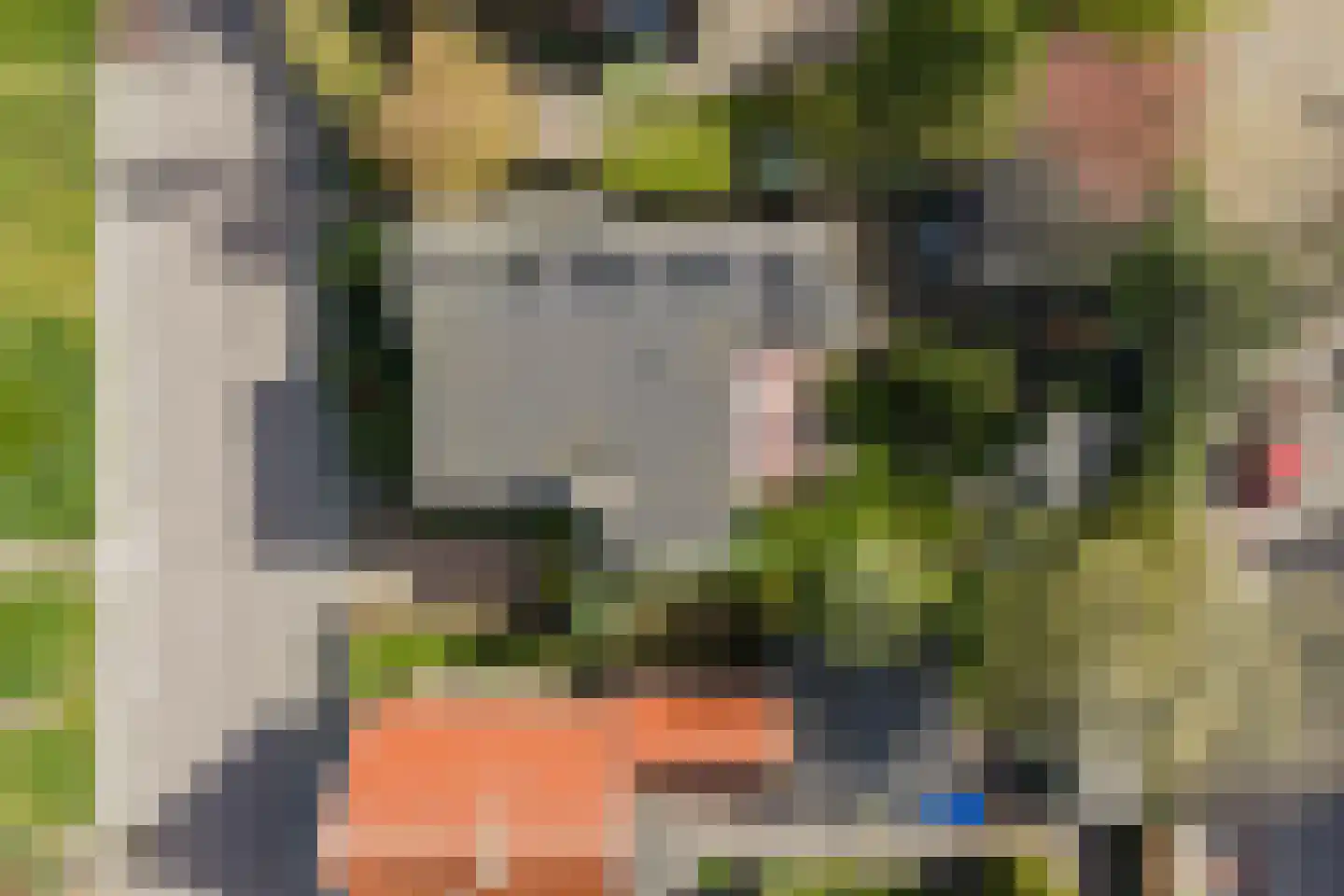 Parklaan 33 Hippolytushoef thumbnail 27