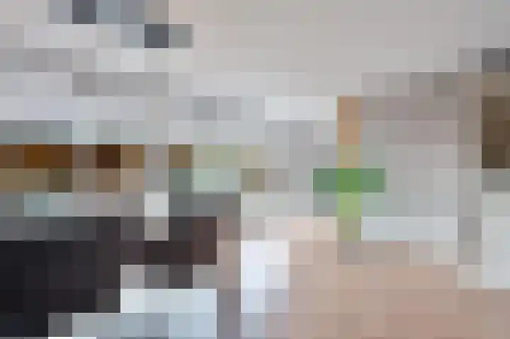 Parklaan 33 Spijkenisse thumbnail 14