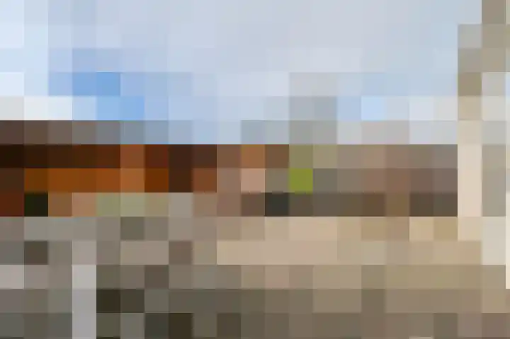 Parklaan 33 Spijkenisse thumbnail 16