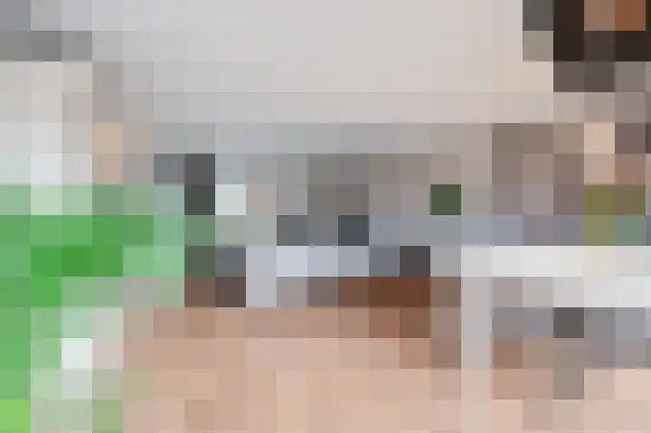 Parklaan 33 Spijkenisse thumbnail 18