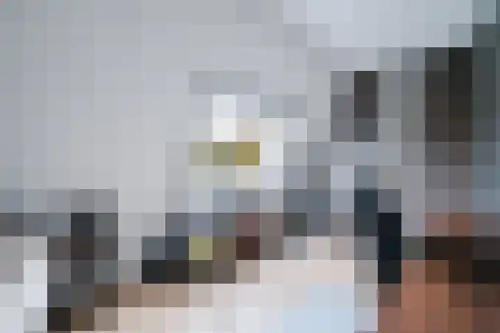 Parklaan 33 Spijkenisse thumbnail 34