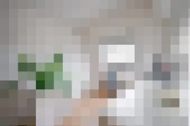 Parklaan 33 Spijkenisse thumbnail 36