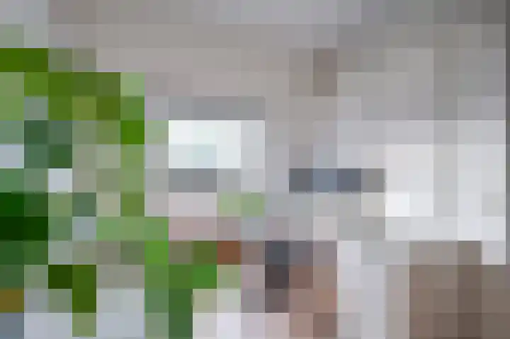 Parklaan 33 Spijkenisse thumbnail 37